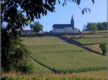 Tocht Mountainbike Lescurry - Boucle autour de Lescurry - Photo