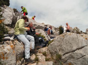 Excursión Senderismo Vingrau - Circuit des contrebandiers - Vingrau - Photo