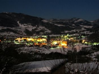 Excursión Senderismo Saint-Félicien - Cols du Gibet et de Juvenet - Saint Félicien - Photo