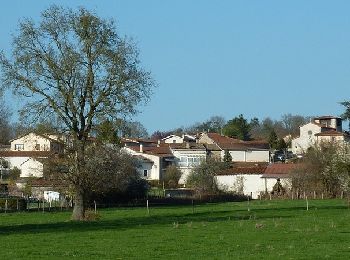 Tocht Mountainbike Civens - B3 - VTT Montagnes du Matin - Civens - Photo