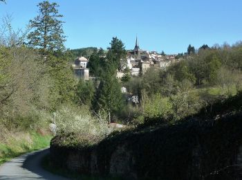 Excursión Bici de montaña Néronde - B4 - VTT Montagnes du Matin - Néronde - Photo