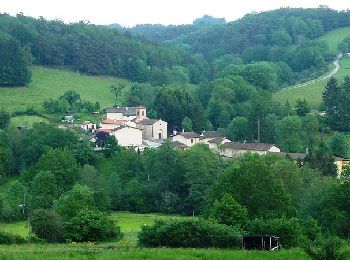 Randonnée V.T.T. Salvizinet - C4 - VTT Montagnes du Matin - Salvizinet - Photo