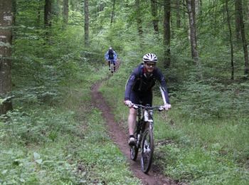 Trail Mountain bike Arelaune-en-Seine - 1er Caux bike Ride - Vatteville la Rue - Photo