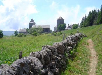 Tocht Fiets Entraygues-sur-Truyère - Circuit des 10 plus beaux villages de France de l'Aveyron - Entragues sur Truyère - Aubrac - Photo