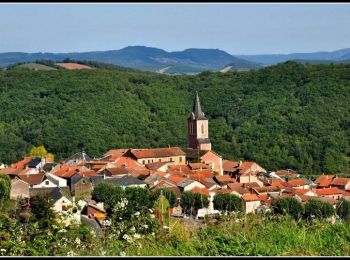 Tour Fahrrad Nant - Circuit des 10 plus beaux villages de France de l'Aveyron - Nant - Réquista - Photo