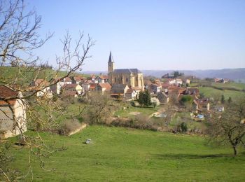 Trail Cycle Najac - Circuit des 10 plus beaux villages de France de l'Aveyron - Najac - Capdenac - Photo