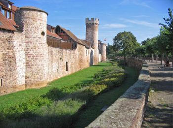 Tour Wandern Oberehnheim - Obernai gare - Mont St Odile - Photo