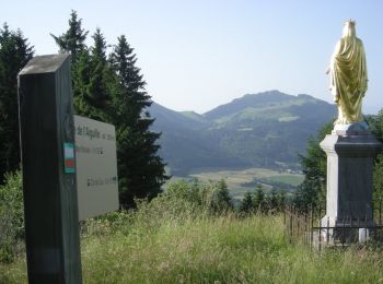Tour Wandern Habère-Poche - Mont Forchat - Habère Poche - Ramble - Photo