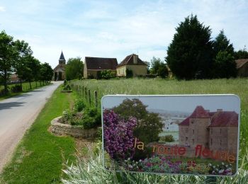 Tour Mountainbike Champlecy - VTT autour de Champlecy - Photo