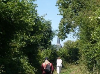 Tour Wandern Flamets-Frétils - La mare aux Daims - Flamets-Fretils - Photo