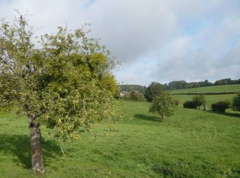 Tour Wandern Bouelles - La Montagne - Bouelles - Photo