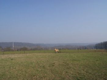 Tocht Mountainbike Le Mesnil-en-Thelle - Mesnilloise 2012 - Photo