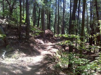 Tour Wandern Concoules - Le sentier des Beaumes - Concoules - Photo