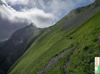 Randonnée Marche Le Reposoir - La Pointe d'Almet, 2232 m - Le Reposoir - Photo