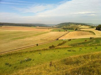 Tour Wandern Saint-Vaast-d'Équiqueville - Randonnée à Saint-Vaast - Photo