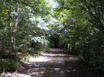 Trail Walking Sauret-Besserve - Balade dans les Combrailles - Sauret Besserve - Photo
