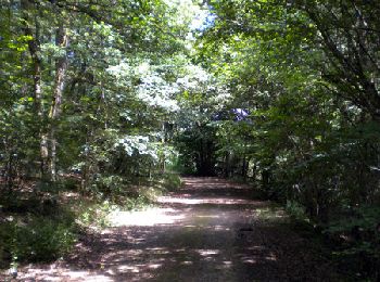 Tour Wandern Sauret-Besserve - Balade dans les Combrailles - Sauret Besserve - Photo