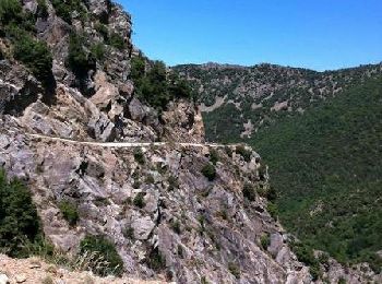 Percorso Mountainbike Taurinya - Descente du Cortalet (Canigou) - Photo