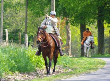 Tocht Paard Saméon - L'Equi-Pévèloise - Saméon - Photo