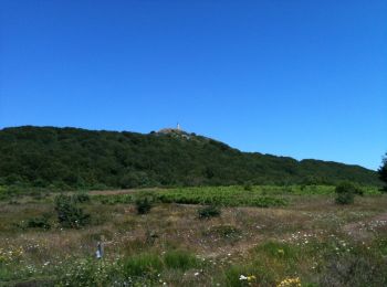 Tour Wandern Nages - Rieu Montagné - le Roc du Montalet - Photo