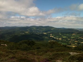 Trail Walking Nages - Pic de Concord - Rieu Montagné - Photo