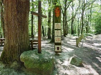 Excursión Senderismo Saint-Forgeux-Lespinasse - VTT en Forêt de Lespinasse - Le circuit du Sanglier - Photo