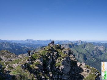 Tocht Stappen Abondance - Le Mont de Grange, 2432m - Photo