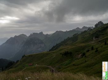 Randonnée Marche Bernex - Le Col de Neuva, 1775m - Photo
