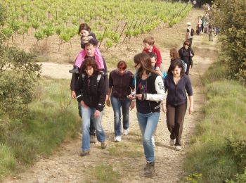 Tour Wandern Castelnau-d'Aude - En Corbières - Le Bosquet - Castelnau d'Aude - Photo