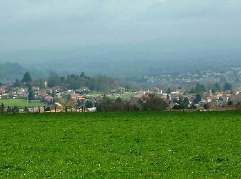 Tour Mountainbike Briennon - La Briennonaise 2012 - Mix des circuits VTT de 30 et 40 km - Photo