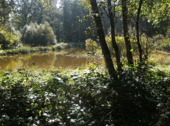 Randonnée V.T.T. Arreux - De Arreux à Sécheval - Photo