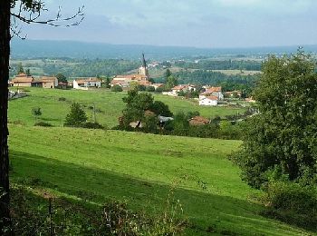 Excursión Bici de montaña Bully - VTT à Bully - Le Trèfle Bullyçois (Boucle de 10 km) - Photo