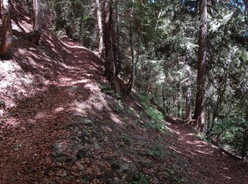 Trail Walking La Giettaz - Randonnée autour de La Giettaz - Photo