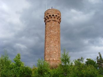 Randonnée V.T.T. Orbey - Les Mérelles - Photo