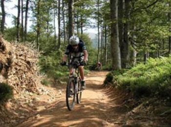 Trail Mountain bike Labaroche - Tour de Labaroche - Photo