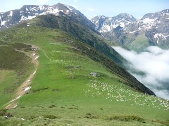 Tour Wandern Bordes-Uchentein - Tuc de Coucou - Biros - Photo