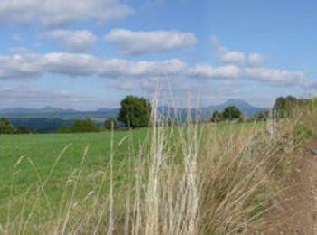 Tocht Stappen Gelles -  La roche branlante de Gelles - Photo