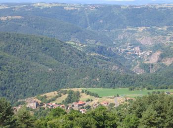 Excursión Bici de montaña Saint-Privat-d'Allier - Autour de St Privat d'Allier - Photo