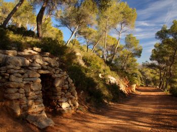 Trail Walking Aix-en-Provence - Circuit des lacs Zola et Bimont - Aix-en-Provence - Photo