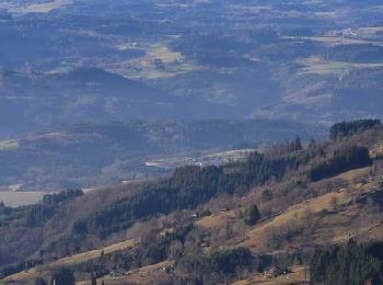 Randonnée Marche Valcivières - Les Jasseries des Supeyres - Valcivières - Photo