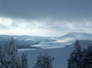 Tocht Sneeuwschoenen Orcival - Du Guéry au bois de Pessade - Photo