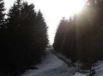 Tour Schneeschuhwandern Michelbrunn - Le Donon en raquettes - Grandfontaine - Photo
