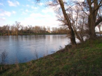 Trail Walking Lacroix-Falgarde - Promenade dominicale autour de Lacroix Falgarde - Photo