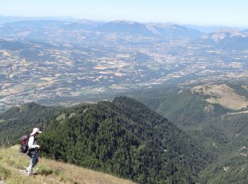 Trail Walking Ancelle - Le Piolit (2464 mètres) - Ancelle - Photo
