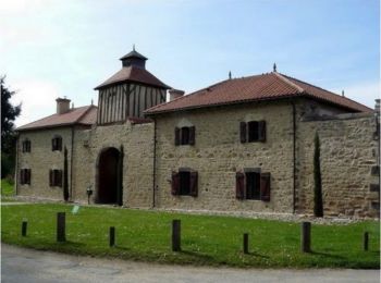 Tocht Stappen Busset - Rando du château de Busset - Photo