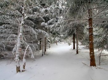 Randonnée Raquettes à neige Laguiole - Circuit botanique de Laguiole - Photo
