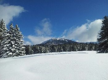 Tour Schneeschuhwandern Bellevaux - vers tres le saix - Photo