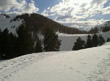 Randonnée Raquettes à neige Laye - Col de gleize - Photo