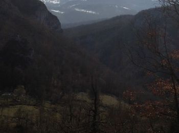 Tour Wandern Lavelanet - Tour de Péreille - Photo