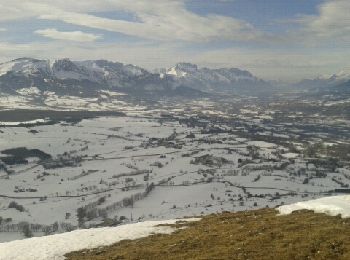 Tour Schneeschuhwandern Ancelle - puy de manse - Photo